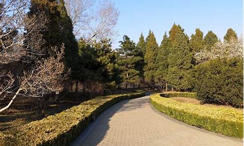 北京植物园攻略_北京植物园攻略线路设计